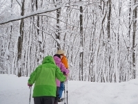 冬の美人林スノーシュー